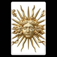 Etui carte bancaire Versailles