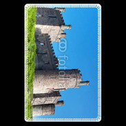 Etui carte bancaire Château Irlandais