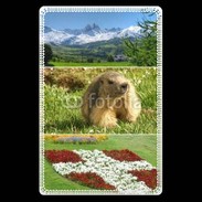 Etui carte bancaire Savoie 1