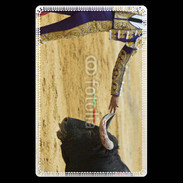 Etui carte bancaire Toréador 2