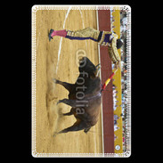 Etui carte bancaire Banderilles de corrida