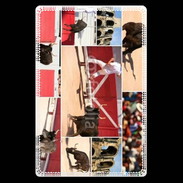 Etui carte bancaire Course camarguaise
