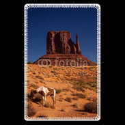 Etui carte bancaire Monument Valley USA