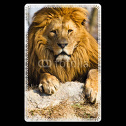 Etui carte bancaire Tête de lion