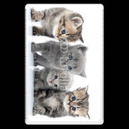 Etui carte bancaire Groupe de chatons