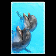 Etui carte bancaire Duo de dauphins