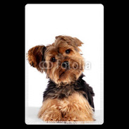 Etui carte bancaire Yorkie 