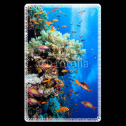 Etui carte bancaire Poisson et corail