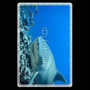 Etui carte bancaire Requin citron