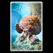 Etui carte bancaire Tortue de mer
