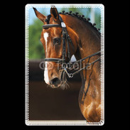 Etui carte bancaire Dressage cheval 1