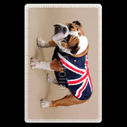 Etui carte bancaire Bulldog anglais en tenue