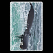 Etui carte bancaire Queue de Baleine 2
