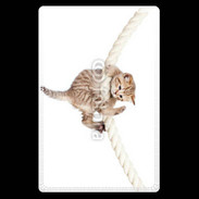 Etui carte bancaire Chaton sur une corde