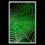 Etui carte bancaire Toile d'araignée verte