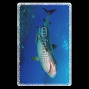 Etui carte bancaire Requin tigre