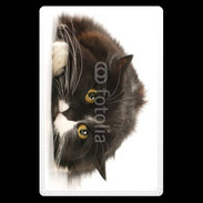 Etui carte bancaire Chat noir et blanc