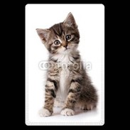 Etui carte bancaire Chaton gris 3