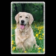 Etui carte bancaire Portrait de Chien Golden 5