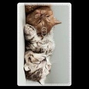 Etui carte bancaire Sieste de chatons