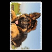 Etui carte bancaire Chiot berger allemand 5