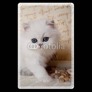 Etui carte bancaire Adorable chaton persan 2