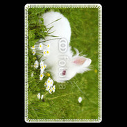 Etui carte bancaire Lapin blanc dans l'herbe