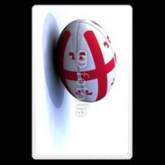 Etui carte bancaire Ballon de rugby Georgie