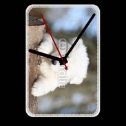 Grande pendule murale Chiot berger blanc suisse