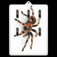 Porte clés Araignée tarentule