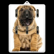 Porte clés Sharpei