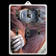 Porte clés Singe adulte 