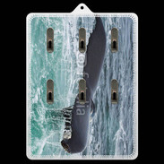 Porte clés Queue de Baleine 2