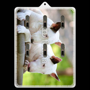Porte clés Chien Bull terrier anglais 1