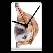 Pendule de bureau Bulldog anglais 2