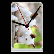 Pendule de bureau Chien Bull terrier anglais 1