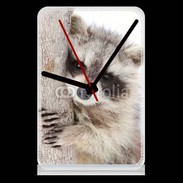 Pendule de bureau Raton laveur dans un arbre
