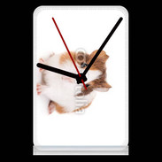 Pendule de bureau Cochon d'inde 2