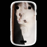 Coque Blackberry Bold 9900 Chat persan blanc 5