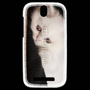 Coque HTC One SV Chat persan blanc 5