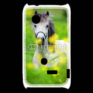 Coque Sony Xperia Typo Poney Shetland gris et blanc