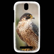 Coque HTC One SV Faucon pèlerin 1