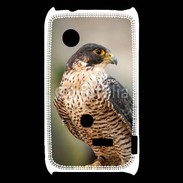 Coque Sony Xperia Typo Faucon pèlerin 1