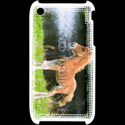 Coque iPhone 3G / 3GS Poulain marron et blanc