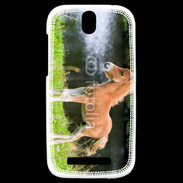 Coque HTC One SV Poulain marron et blanc