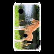 Coque Sony Xperia Typo Poulain marron et blanc