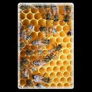 Etui carte bancaire Abeilles dans une ruche