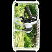 Coque iPhone 3G / 3GS Poulain noir et blanc