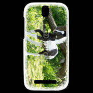Coque HTC One SV Poulain noir et blanc