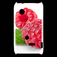 Coque Sony Xperia Typo Belles framboises